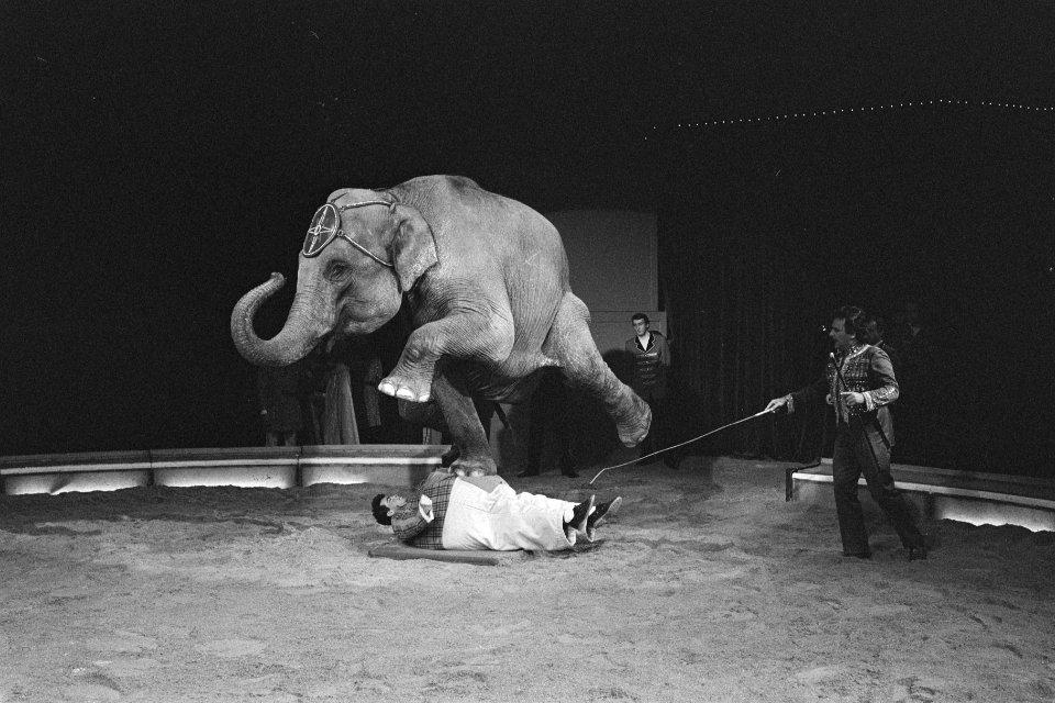 Toon Hermans (r) reikte tijdens voorstelling Circus Knie in Carre in Amsterdam O, Bestanddeelnr 933-8493