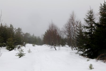 Top of Badener Höhe with snow 2020-03-10 25