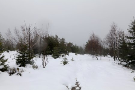 Top of Badener Höhe with snow 2020-03-10 24
