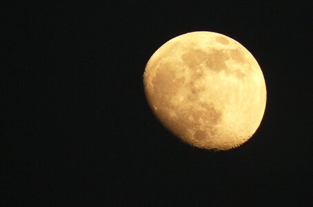 Moonlight night luna photo