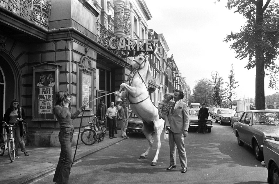 Toni Boltini met circuspaard voor theater Carré, Bestanddeelnr 925-7163