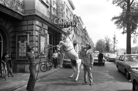Toni Boltini met circuspaard voor theater Carré, Bestanddeelnr 925-7163