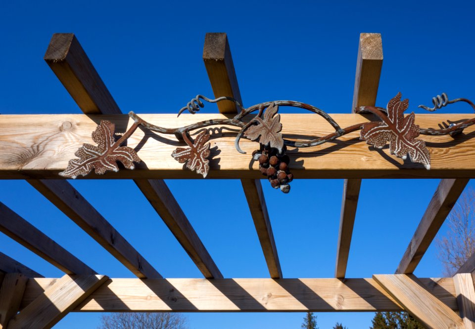 Top of pergola in Cateaux Luna vineyard
