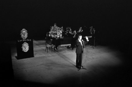 Toon Hermans in zijn show, Bestanddeelnr 921-5868