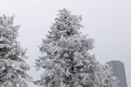 Top of Großer Feldberg with snow 2021-04-06 08