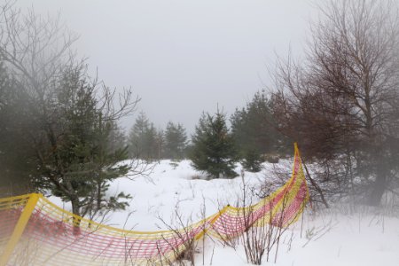 Top of Badener Höhe with snow 2020-03-10 07