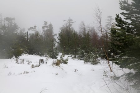 Top of Badener Höhe with snow 2020-03-10 09