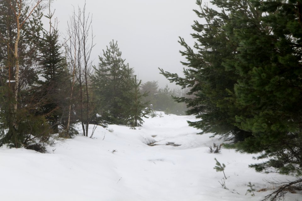 Top of Badener Höhe with snow 2020-03-10 21
