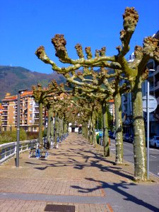 Tolosa 049