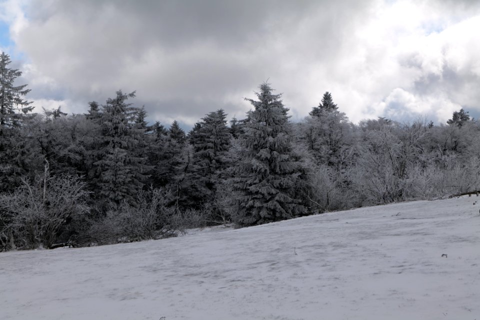 Top of Großer Feldberg with snow 2021-04-06 82
