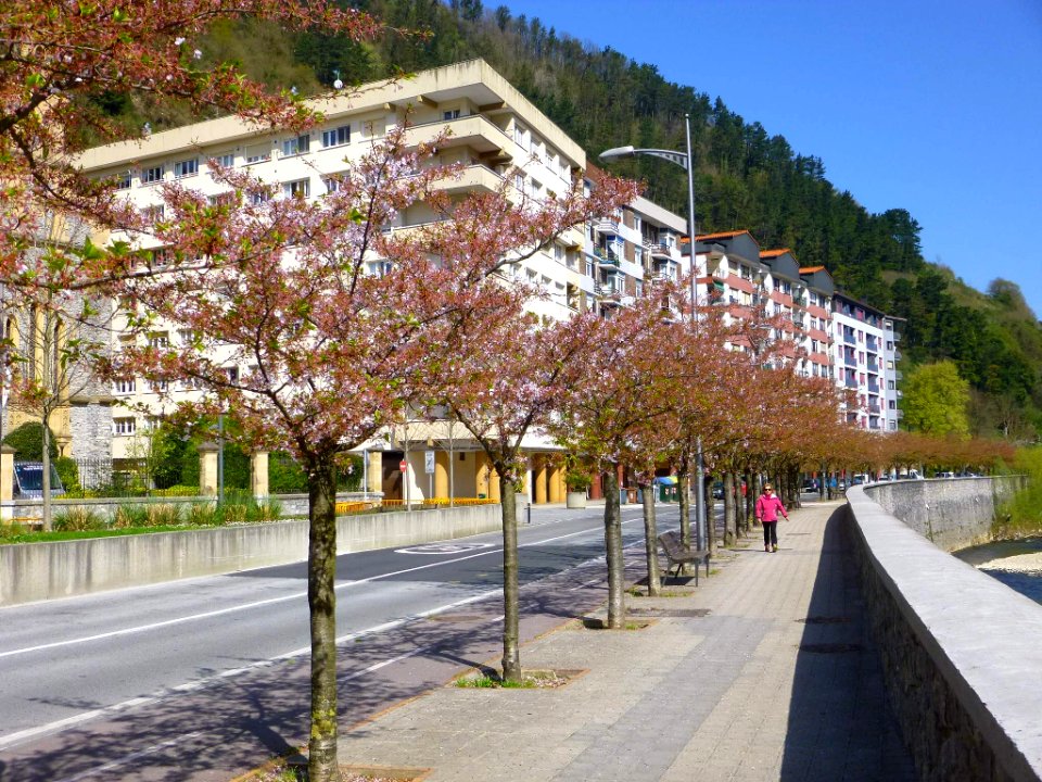 Tolosa 040