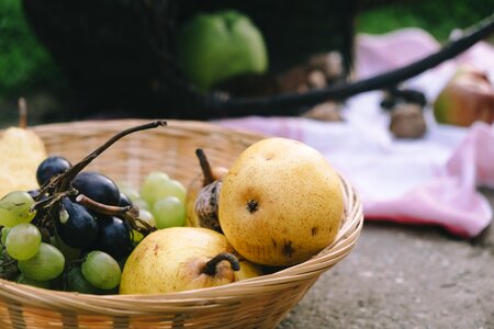 Grape autumn apple