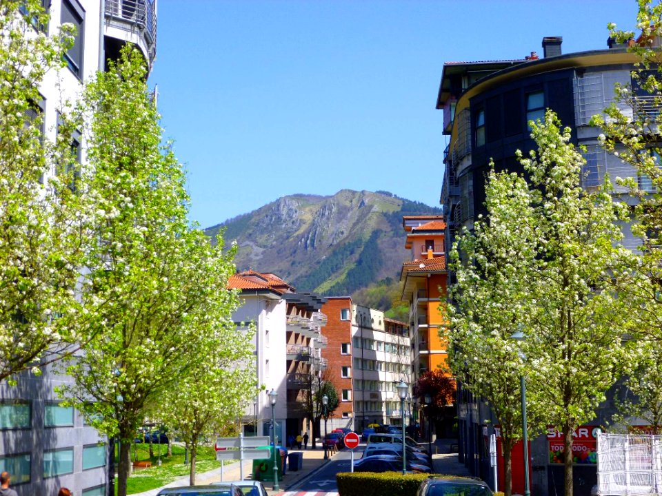 Tolosa 007