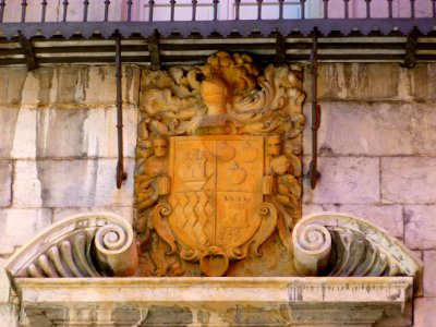 Tolosa - Palacio Aranburu 2