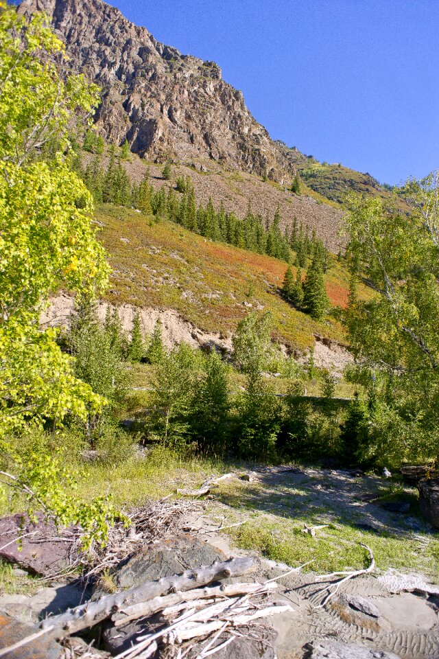 Mountain altai nature mountain photo