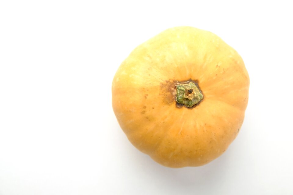 Vegetables autumn harvest