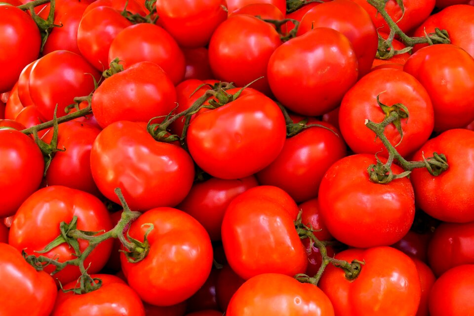 Healthy vitamins garden