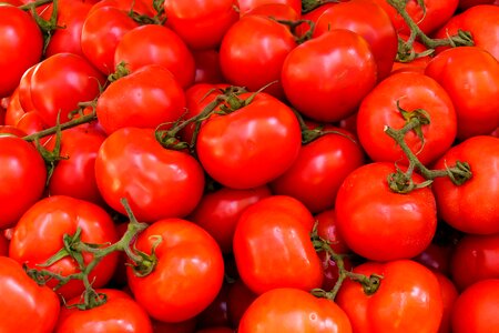 Healthy vitamins garden