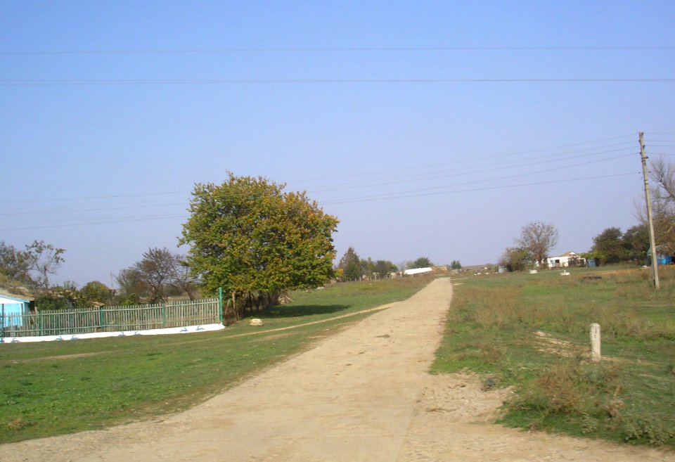 TomashevkaCr 5