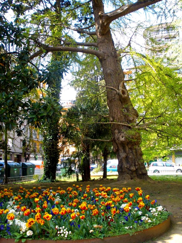 Tolosa 044