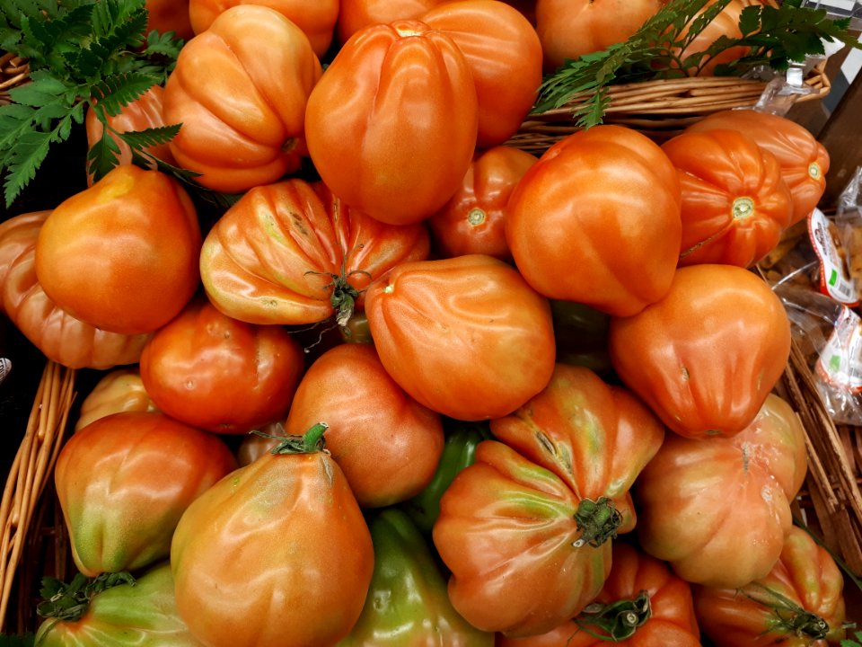 Tomàquets cor de bou 2017 A