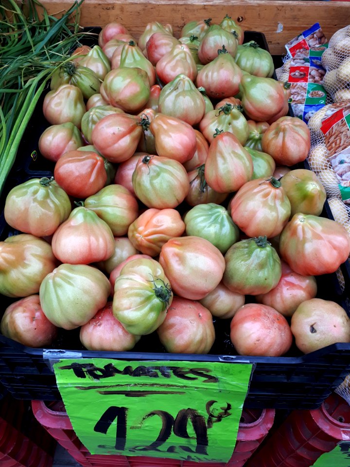 Tomàquets cor de bou 2017 C1