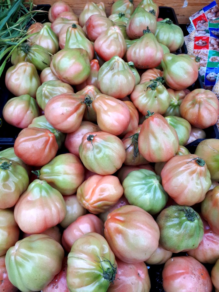 Tomàquets cor de bou 2017 C2