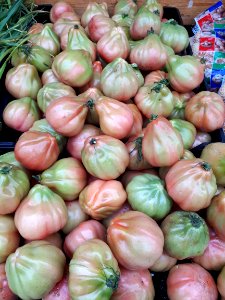 Tomàquets cor de bou 2017 C2
