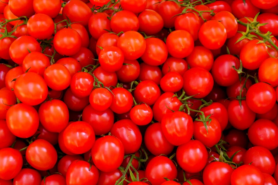 Healthy vitamins garden
