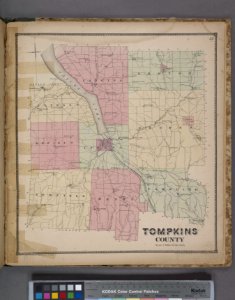 Tolmein. NYPL1226784