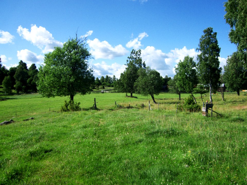 Tiskaretjärn 2