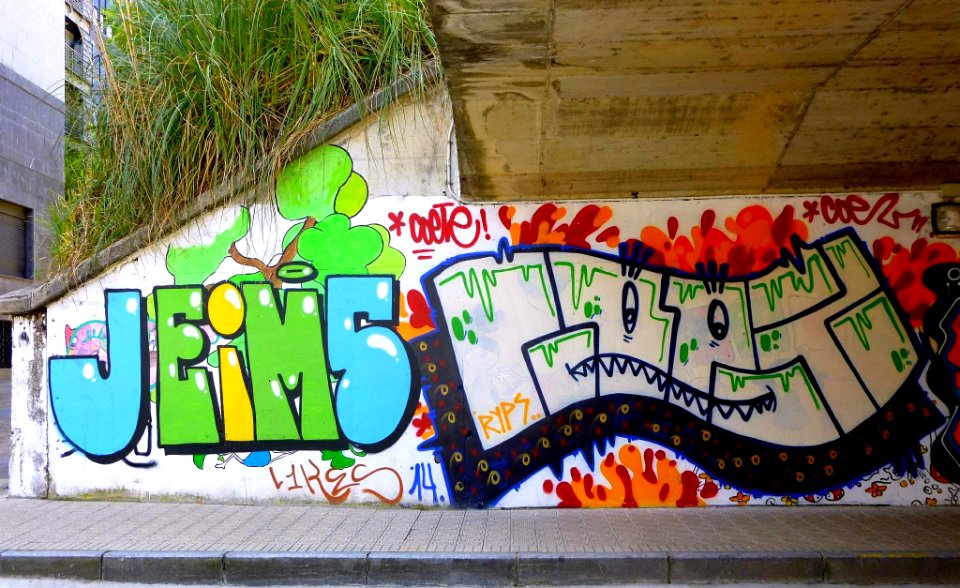 Tolosa - Graffiti & murals 18