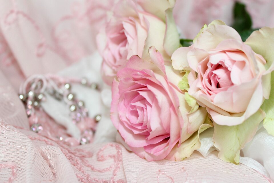 Background playful romantic
