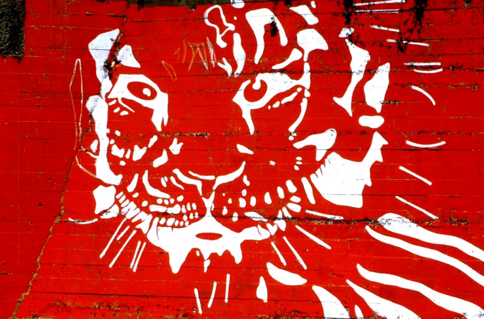 Tolosa - Graffiti & murals 15