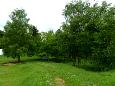 Titelberg-Oppidum Tëtelbierg (1)