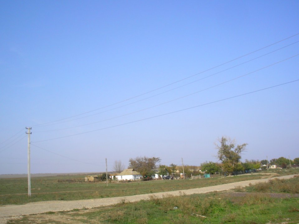 TomashevkaCr 7