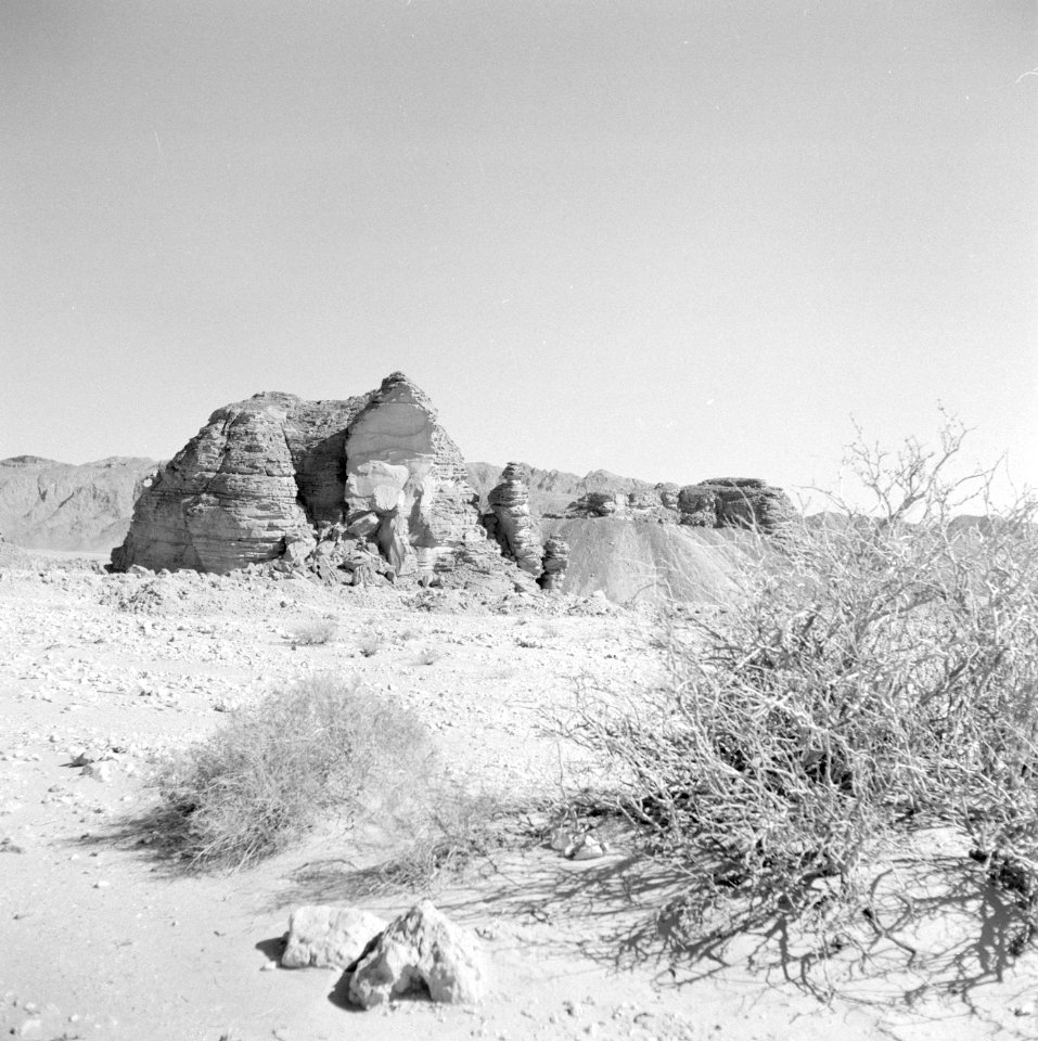 Timna in de Negevwoestijn landschap met geologische formaties en struikgewas, Bestanddeelnr 255-3635