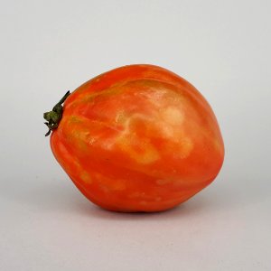 Tomàquet cor de bou 2017 B2