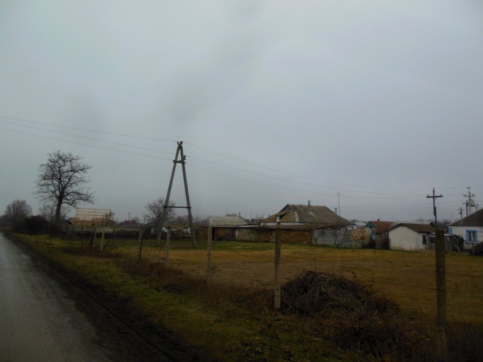 TimofeevkaCr 6