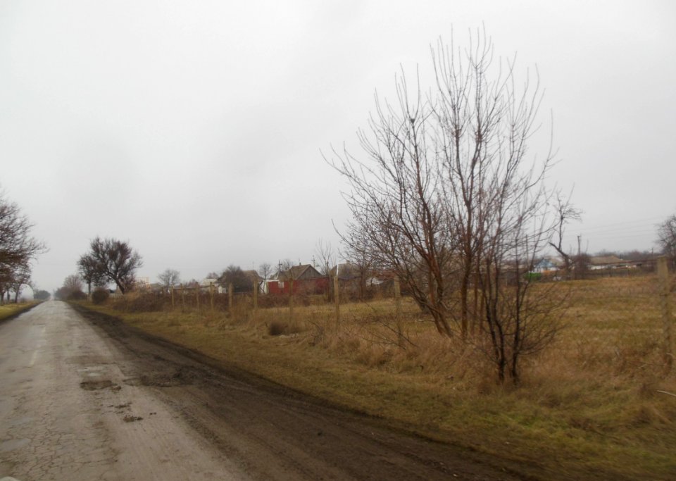 TimofeevkaCr 4
