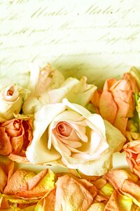 Romantic background decoration