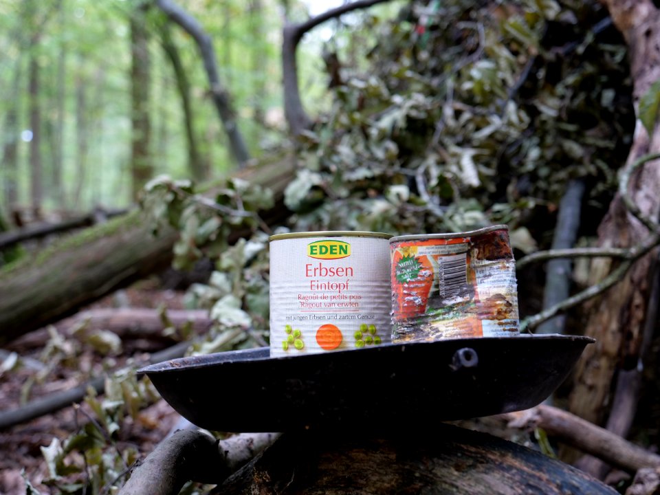 Tin can in the Hambach forest