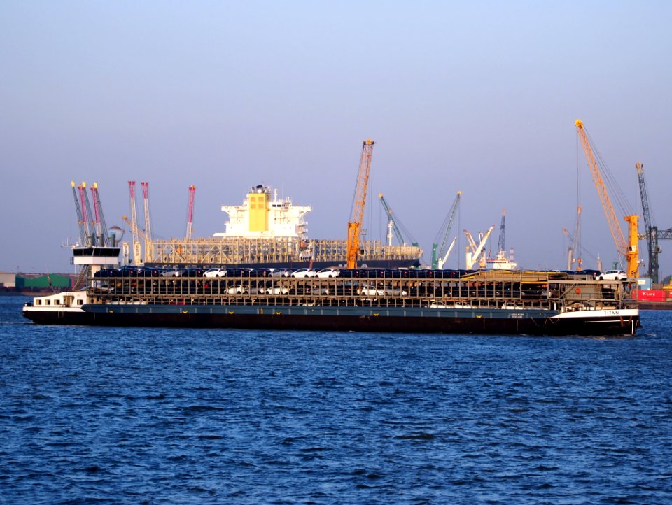 Titan (ship, 1981), ENI 02318288, Port of Antwerp pic1