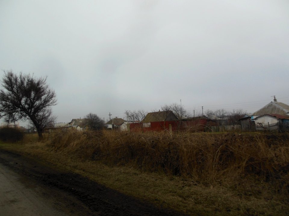TimofeevkaCr 5