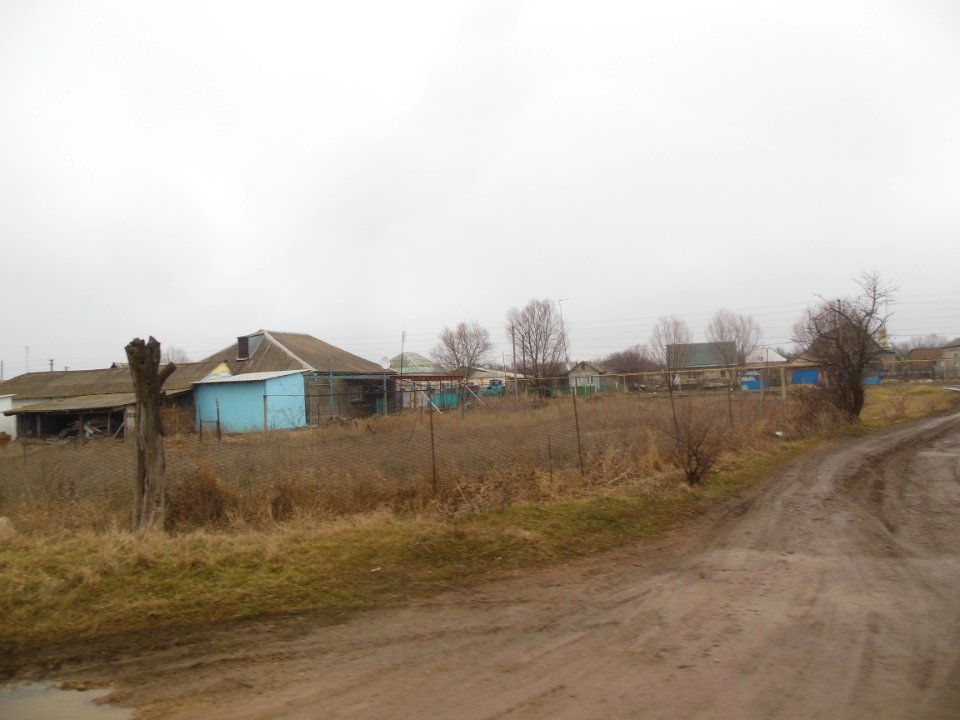 TimofeevkaCr 10