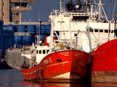 Timor II at IJmuiden, The Netherlands