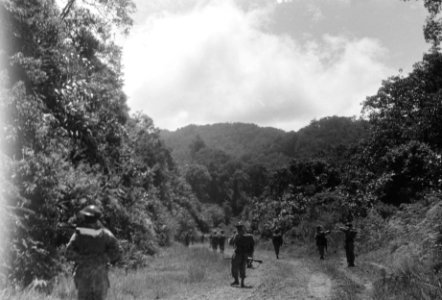 Tijdens de opmars in de sector Padang (Sumatra)., Bestanddeelnr 2535
