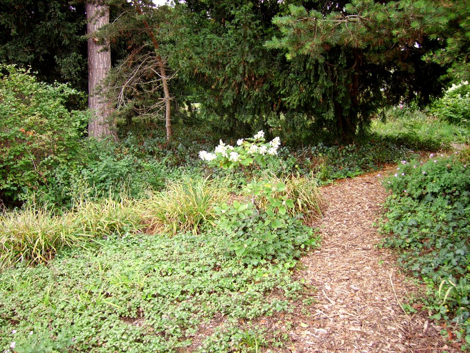 TimeGardensNatural1
