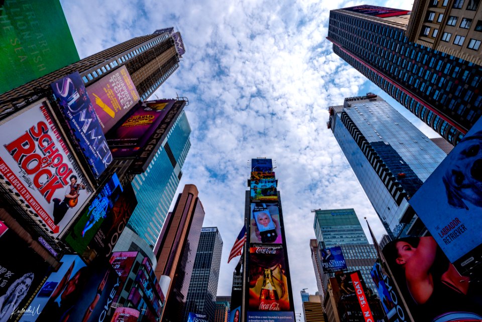 Times Square Wide Angle (256839609)