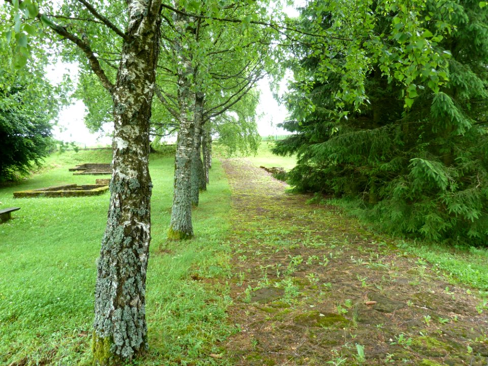 Titelberg-Oppidum Tëtelbierg (6)